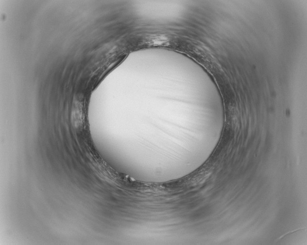 X0000088201442200706051220