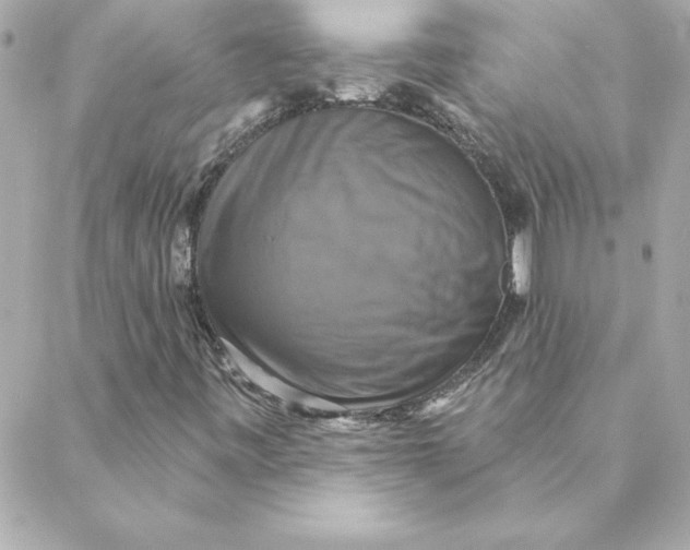 X0000088201443200706051220