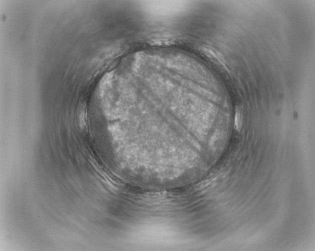 X0000088201444200706051220