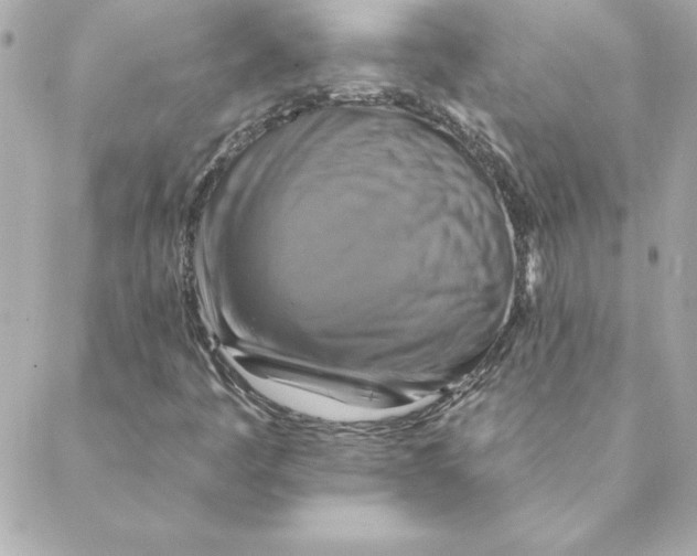 X0000088201445200706051220