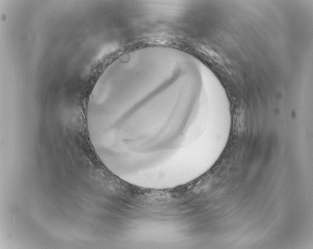 X0000088201446200706051220