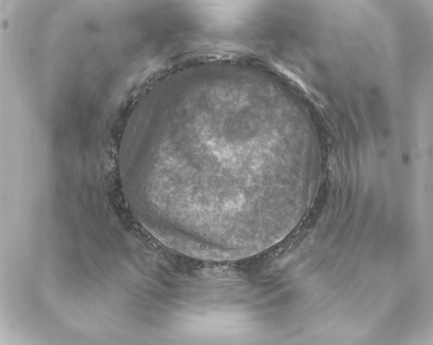 X0000088201447200706051220