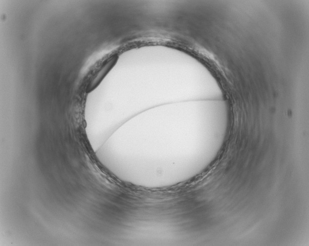 X0000088201448200706051220