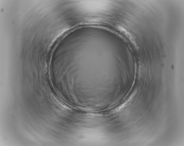 X0000088201449200706051220