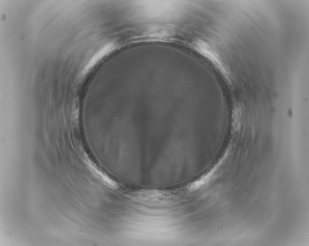 X0000088201450200706051220