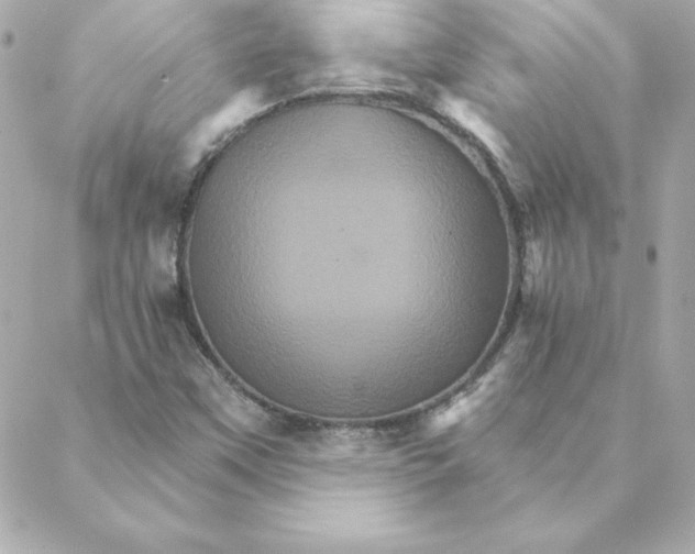 X0000088201451200706051220