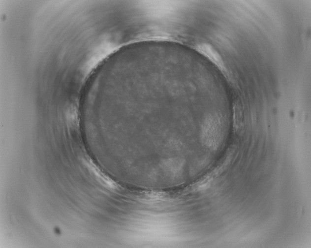 X0000088201452200706051220