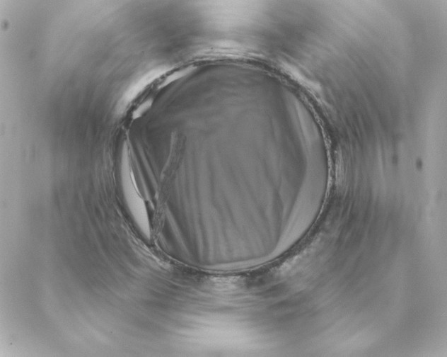 X0000088201453200706051220