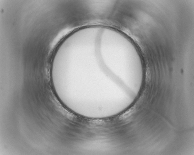 X0000088201454200706051220