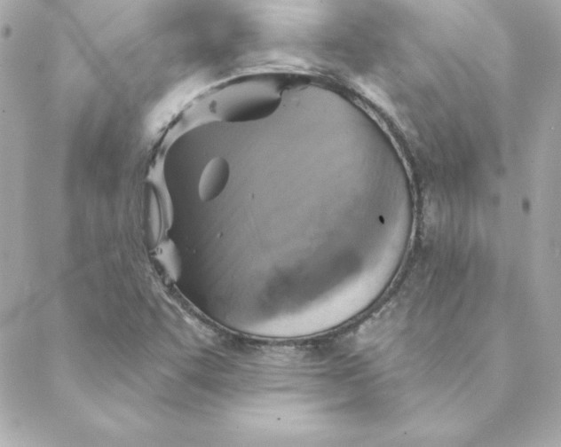 X0000088201455200706051220