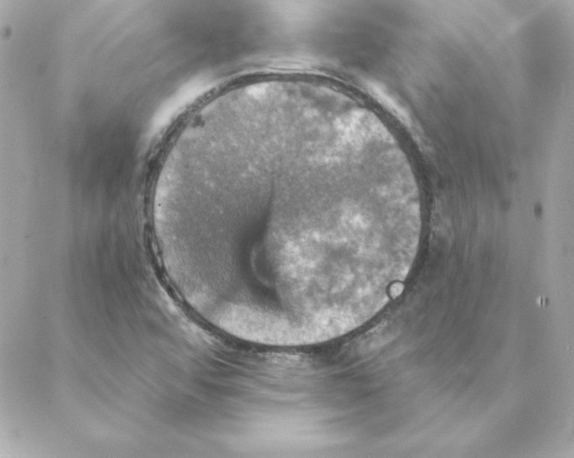 X0000088201456200706051220