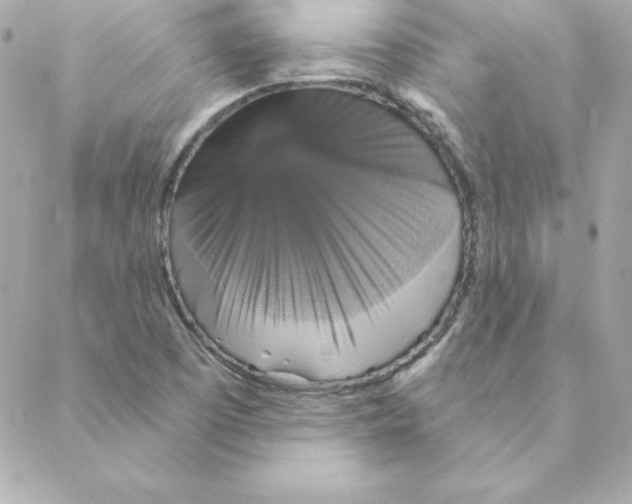 X0000088201457200706051220