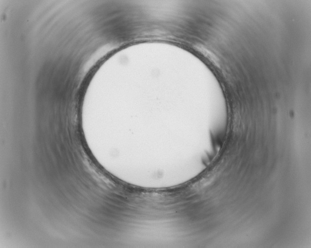 X0000088201458200706051220