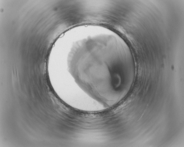 X0000088201459200706051220