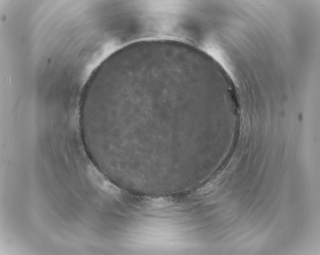 X0000088201460200706051220