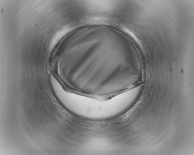 X0000088201461200706051220