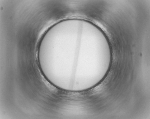 X0000088201462200706051220