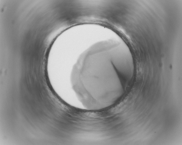 X0000088201463200706051220