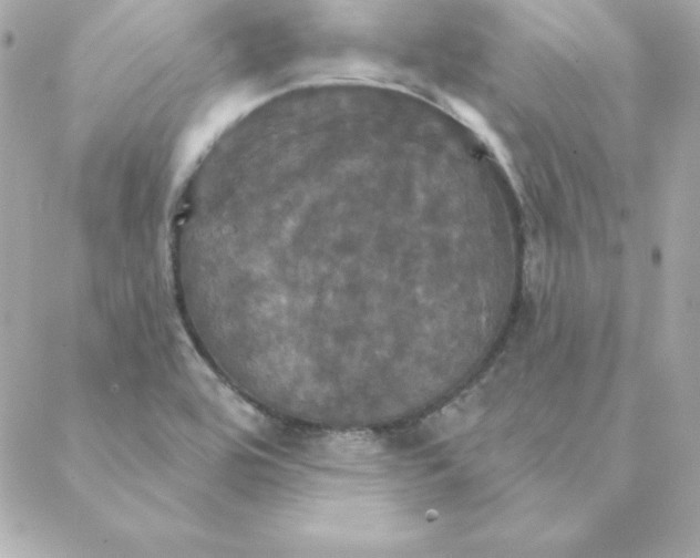 X0000088201464200706051219