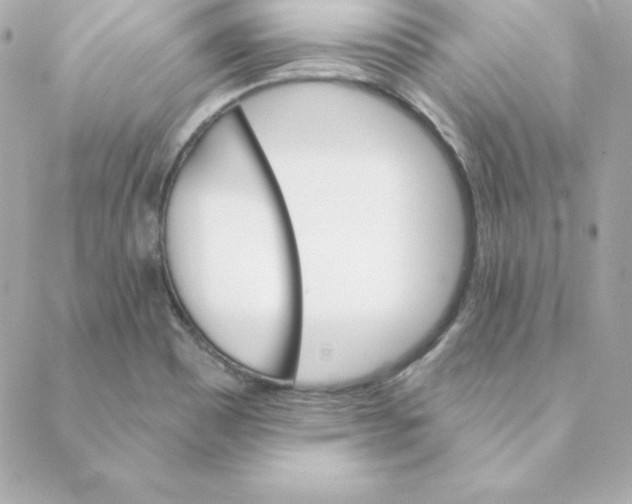 X0000088201465200706051219