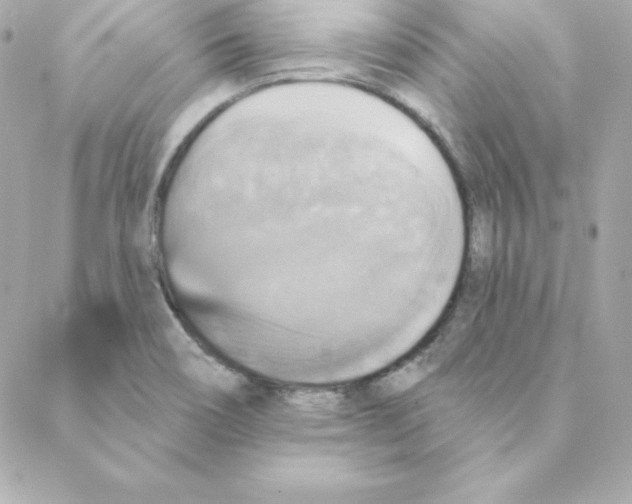 X0000088201466200706051219