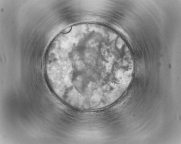 X0000088201467200706051219