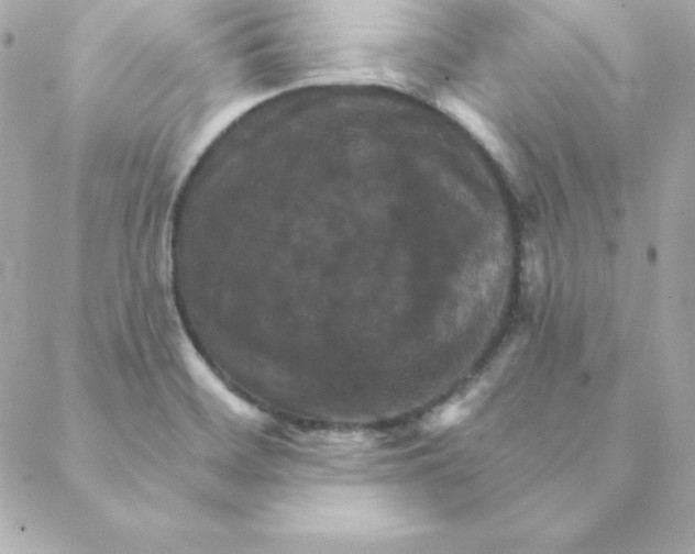 X0000088201468200706051219