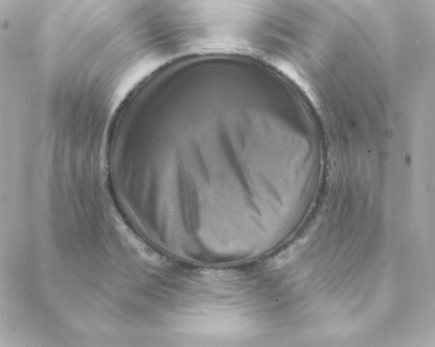 X0000088201469200706051219