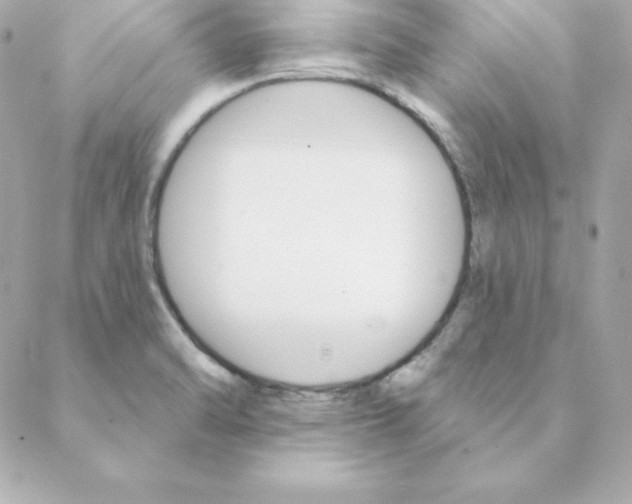 X0000088201470200706051219