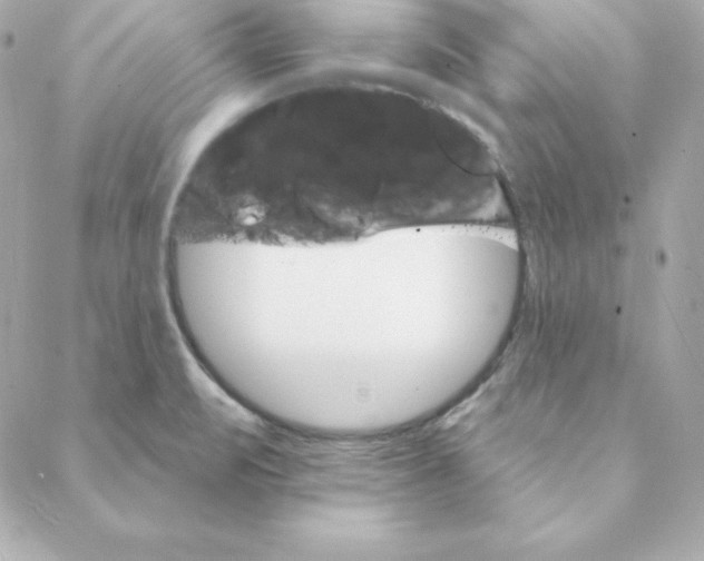 X0000088201471200706051219