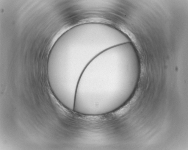 X0000088201473200706051219