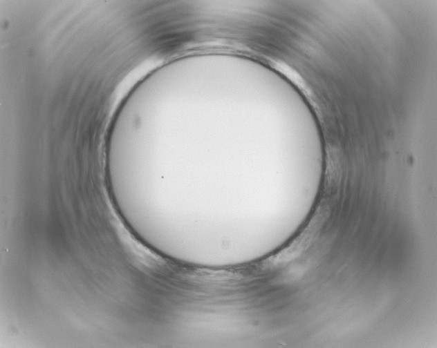 X0000088201474200706051219