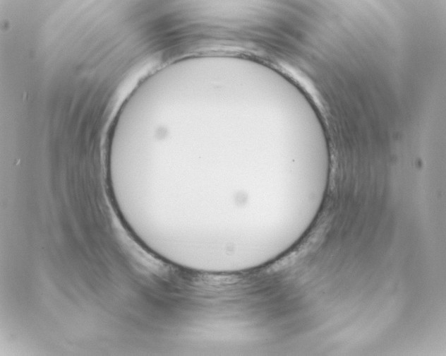 X0000088201475200706051219