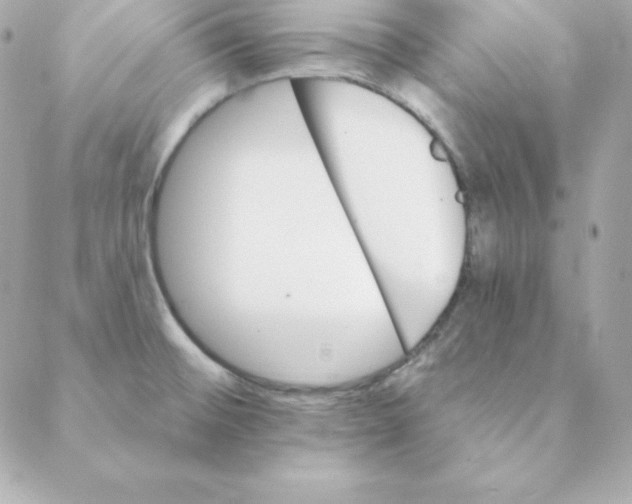 X0000088201476200706051219