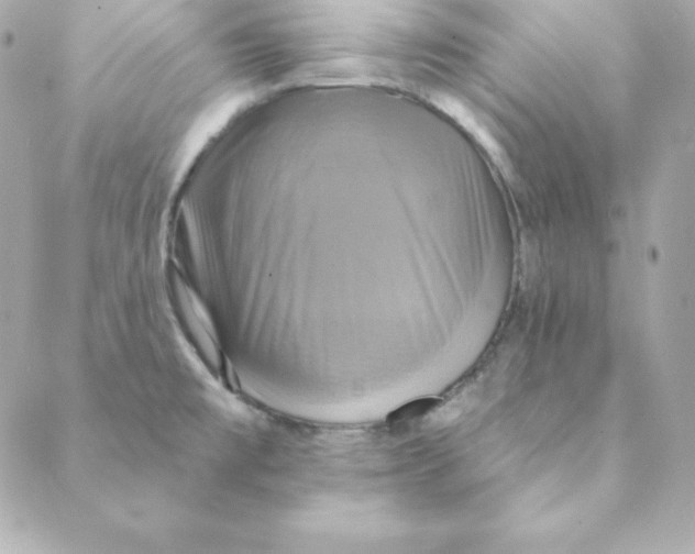 X0000088201477200706051219