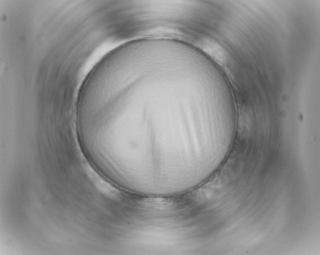 X0000088201478200706051219