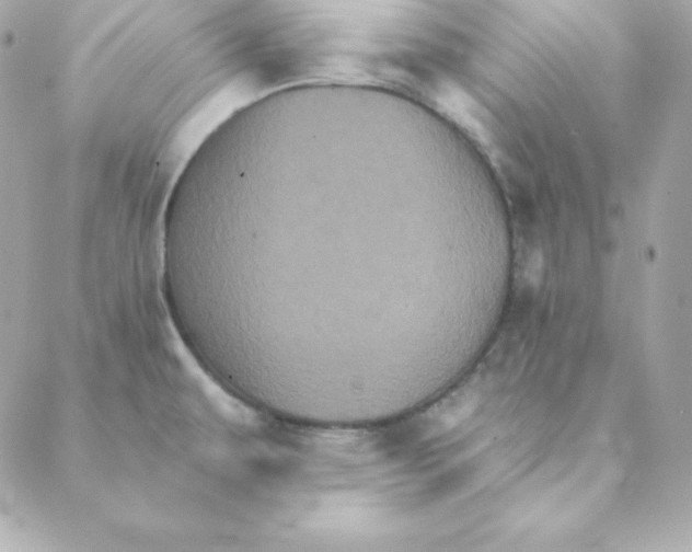 X0000088201479200706051219