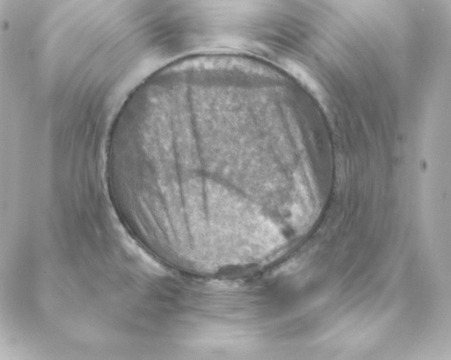 X0000088201480200706051219