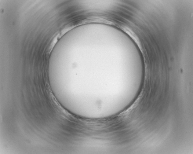 X0000088201481200706051219