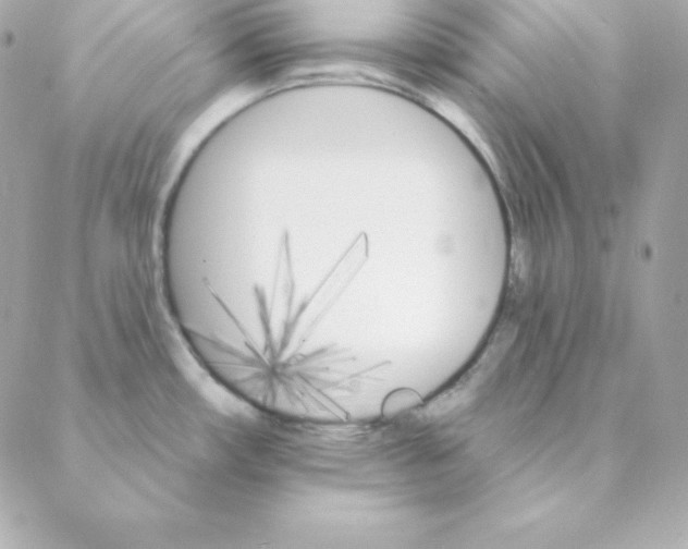 X0000088201482200706051219