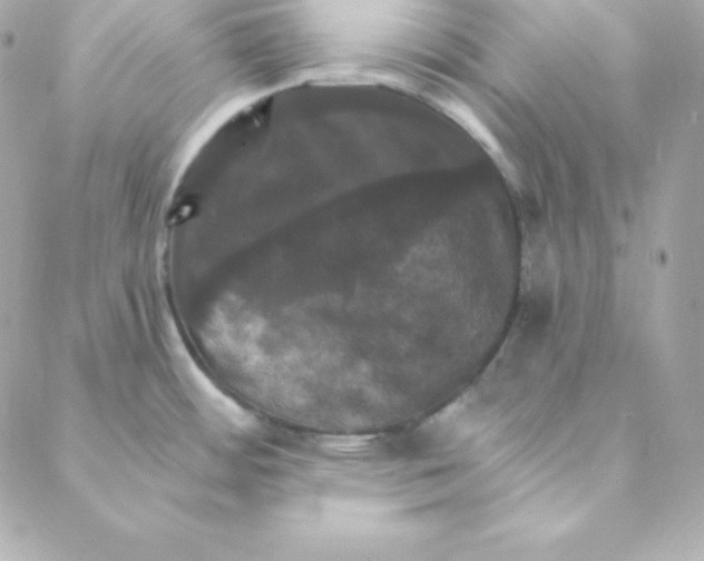 X0000088201484200706051219