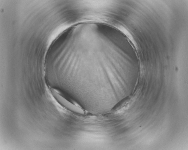 X0000088201485200706051219