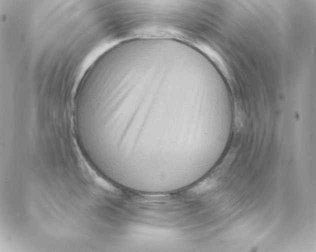 X0000088201486200706051219