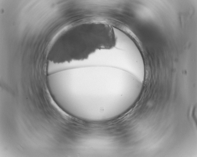 X0000088201487200706051219