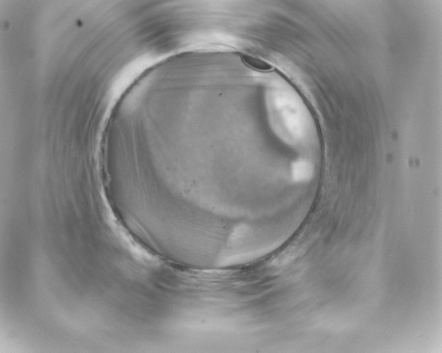 X0000088201488200706051219