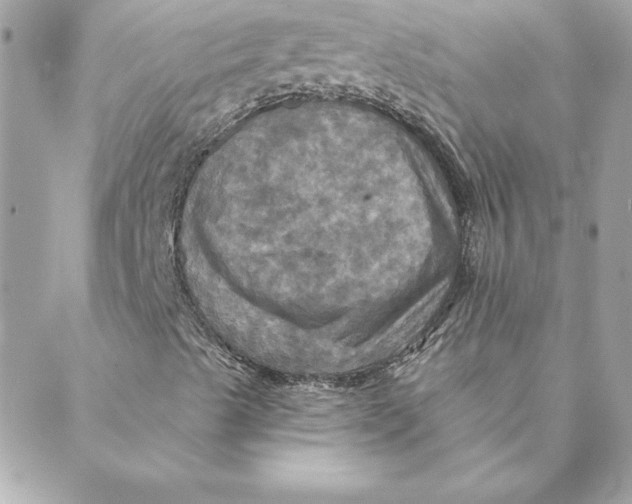 X0000088201489200706051218