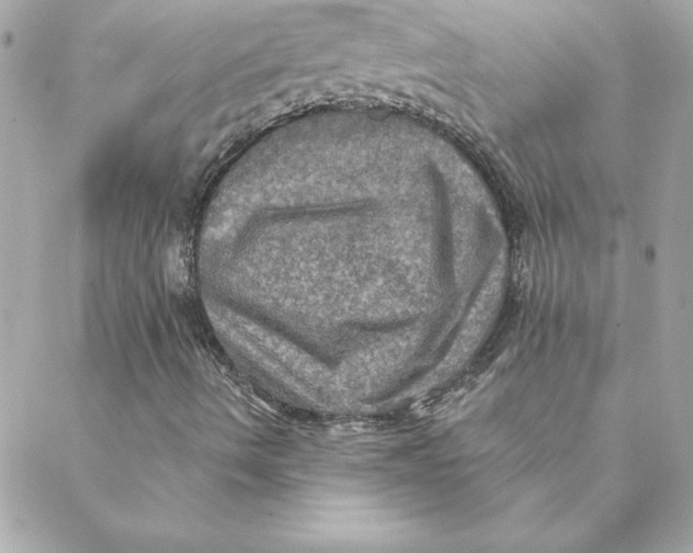 X0000088201490200706051218