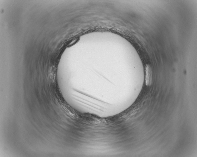 X0000088201491200706051218