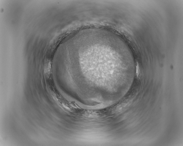 X0000088201492200706051218