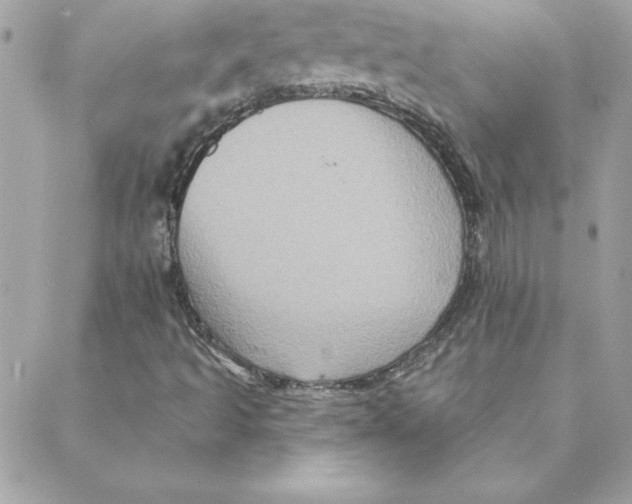 X0000088201493200706051218